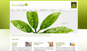 Introduzione al Sito Web